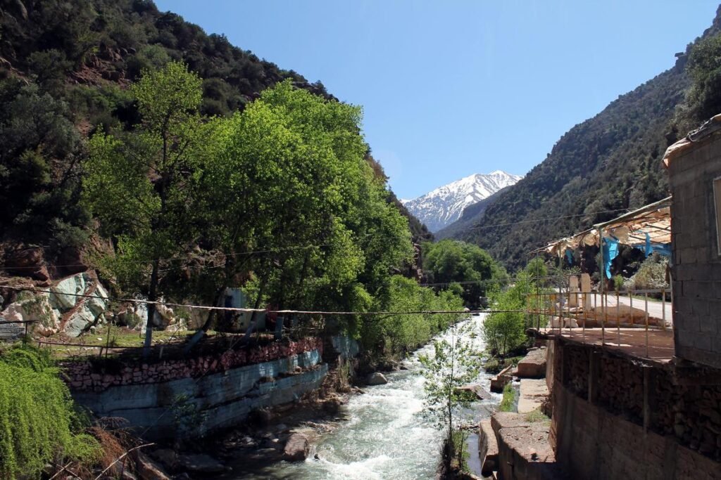 Day trips from Marrakech